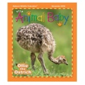 Wild Animal Baby November 2010