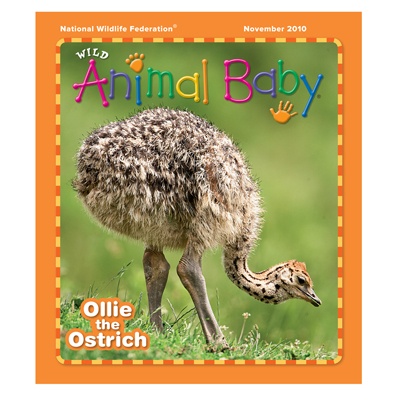 Wild Animal Baby November 2010