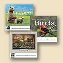 2011 Wall Calendar Pack