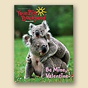 Your Big Backyard February 2008 Back Issue