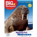 Your Big Backyard February 2012
