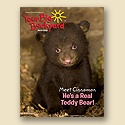 Your Big Backyard March 2008 Back Issue