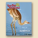 Your Big Backyard March 2009 Back Issue