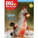 Your Big Backyard April 2012