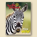 Your Big Backyard July 2008 Back Issue