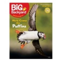 Your Big Backyard October 2011