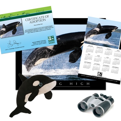 Adopt an Orca - $100
