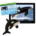 Adopt an Orca - $30