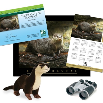 Adopt a River Otter - $100