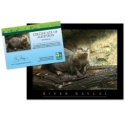 Adopt a River Otter