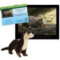 Adopt a River Otter