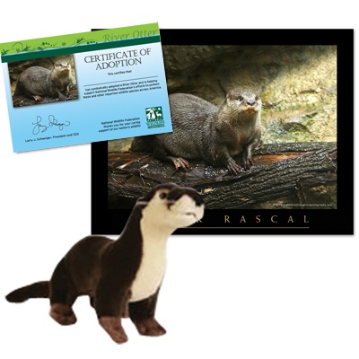 Adopt a River Otter - $30