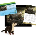 Adopt a River Otter