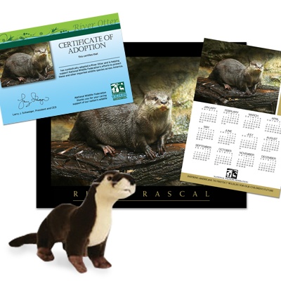 Adopt a River Otter - $50
