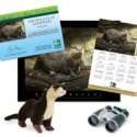 Adopt a River Otter