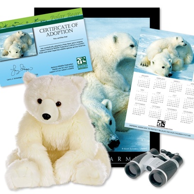 Adopt a Polar Bear - $150