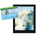 Adopt a Polar Bear - $20