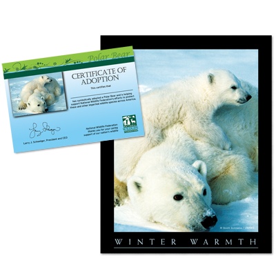 Adopt a Polar Bear - $20