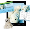 Adopt a Polar Bear - $50