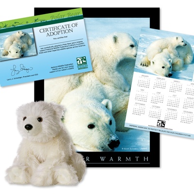 Adopt a Polar Bear - $50