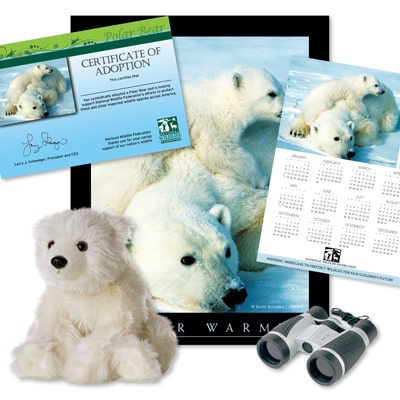 Adopt a Polar Bear - $75