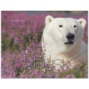 White Bear of the North Wapusk Book