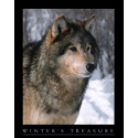 NWF Posters