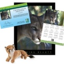 Adopt a Florida Panther