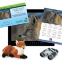 Adopt a Red Fox