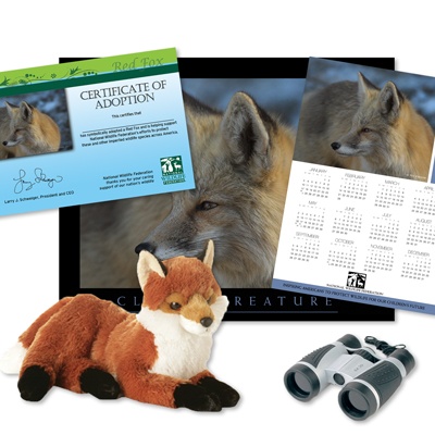 Adopt a Red Fox - $100