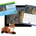 Adopt a Red Fox