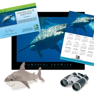 Adopt a Great White Shark - $100