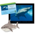 Adopt a Great White Shark