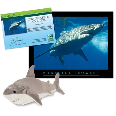 Adoption Issues on Home    Adoption Center    Adopt A Great White Shark    Adopt A