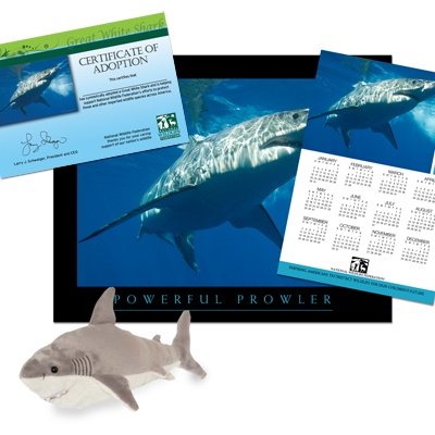 Adopt a Great White Shark - $50