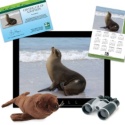 Adopt a Sea Lion - $100
