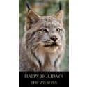 NWF Small Magnets