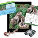 Adopt a Western Diamondback Rattlesnake