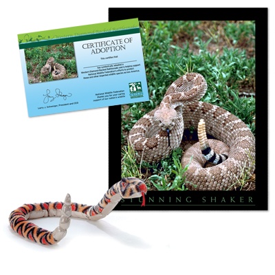 Adopt a Western Diamondback Rattlesnake - $30