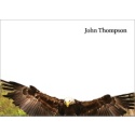 NWF Post-it Notepads - Small