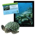 Adopt a Sea Turtle