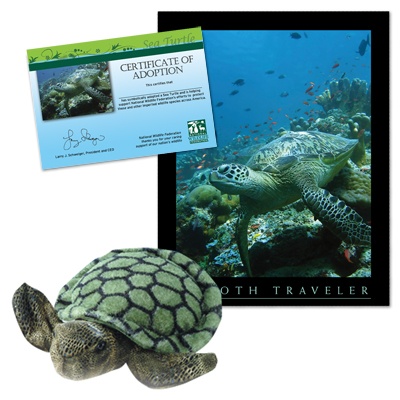 Adopt a Sea Turtle - $30