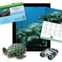 Adopt a Sea Turtle