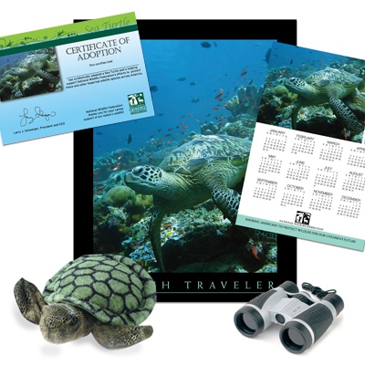 Adopt a Sea Turtle - $75