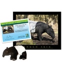Adopt a Tapir