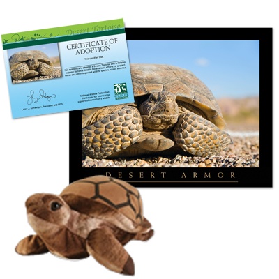 Adopt a Desert Tortoise - $30
