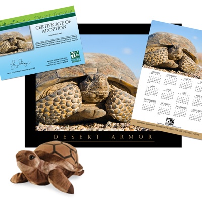 Adopt a Desert Tortoise - $50