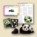 Adopt a Panda Mother & Baby