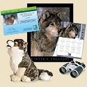 Adopt a Wolf - $100