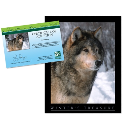Adopt a Wolf - $20